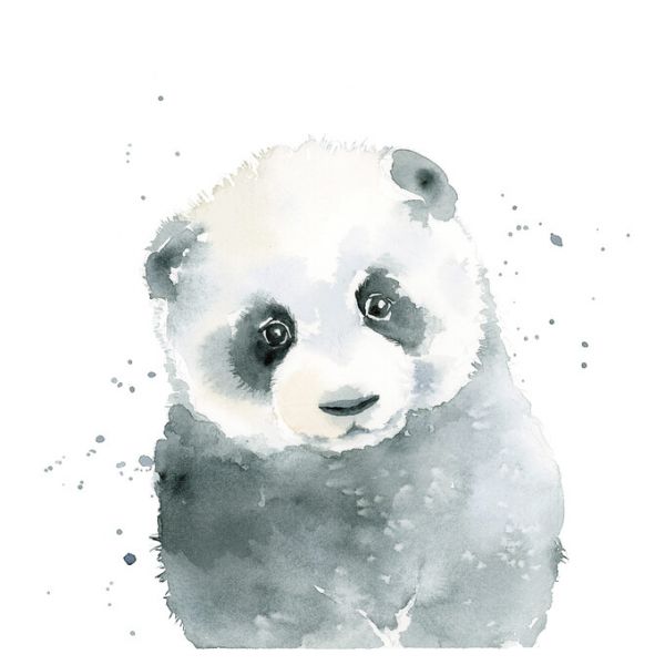 楽天市場 パンダ 動物 水彩画の壁紙 輸入 カスタム壁紙 Photowall Panda Cub 286 貼ってはがせるフリース壁紙 不織布 海外取り寄せのため1カ月程度でお届け 代引き不可 壁紙屋本舗 カベガミヤホンポ