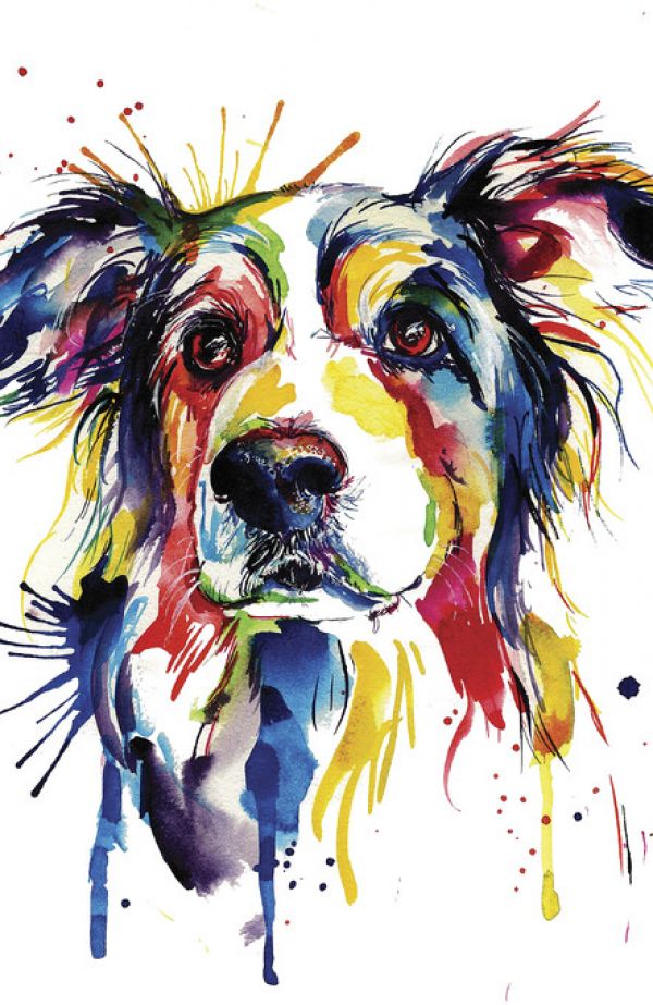 定番の中古商品 犬の絵 ボーダーコリー 色鉛筆画