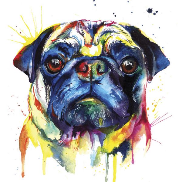 楽天市場 パグ 犬 水彩画 イラストの壁紙 輸入 カスタム壁紙 Photowall Pug Ii 貼ってはがせるフリース壁紙 不織布 海外取り寄せのため1カ月程度でお届け 代引き 後払い不可 壁紙屋本舗 カベガミヤホンポ