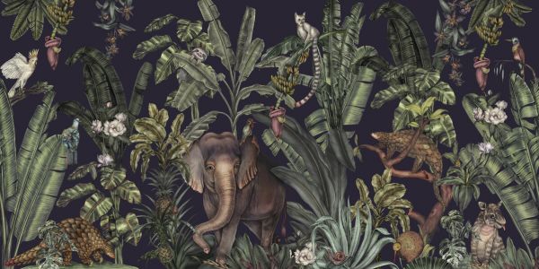 楽天市場 トロピカル ジャングル 動物 象 ゾウ サンゼンコウ オウム 鳥の壁紙 輸入 カスタム壁紙 Photowall Jungle Kingdom Space 貼ってはがせるフリース壁紙 不織布 海外取り寄せのため1カ月程度でお届け 代引き 後払い不可 壁紙屋本舗