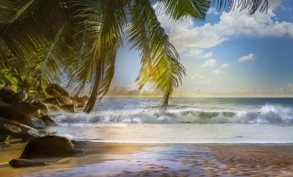 楽天市場 海 浜辺 ビーチ 波 空 雲 風景 景色の壁紙 輸入 カスタム壁紙 Photowall Perfect Beach 貼ってはがせるフリース壁紙 不織布 海外取り寄せのため1カ月程度でお届け 代引き 後払い不可 壁紙屋本舗 カベガミヤホンポ