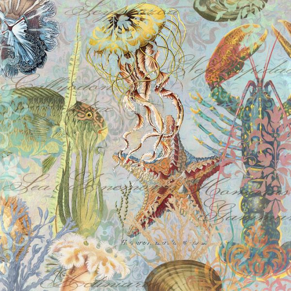 楽天市場 ロブスター クラゲ 魚 パターン マリンの壁紙 輸入 カスタム壁紙 Photowall Sea Life Arabesques Ii 貼ってはがせるフリース壁紙 不織布 海外取り寄せのため1カ月程度でお届け 代引き 後払い不可 壁紙屋本舗 カベガミヤホンポ