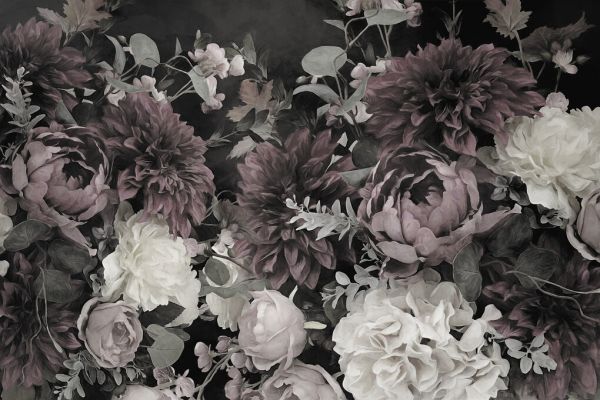 楽天市場 花 紫 パープルの壁紙 輸入 カスタム壁紙 Photowall Astras 貼ってはがせるフリース壁紙 不織布 海外取り寄せのため1カ月程度でお届け 代引き 後払い不可 壁紙屋本舗 カベガミヤホンポ