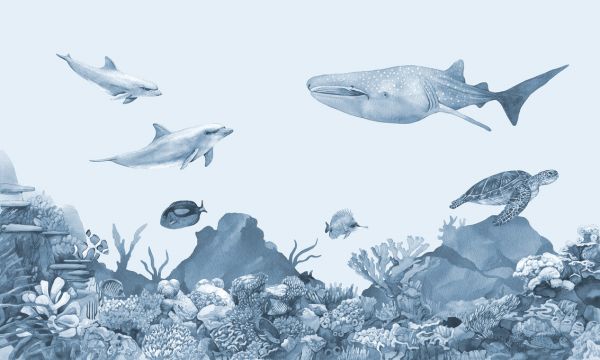 楽天市場 海 魚 イルカ ジンベイザメ ウミガメ サンゴ 青 ブルーの壁紙 輸入 カスタム壁紙 Photowall Underwater Friends Blue 貼ってはがせるフリース壁紙 不織布 海外取り寄せのため1カ月程度でお届け 代引き 後払い不可 壁紙屋本舗