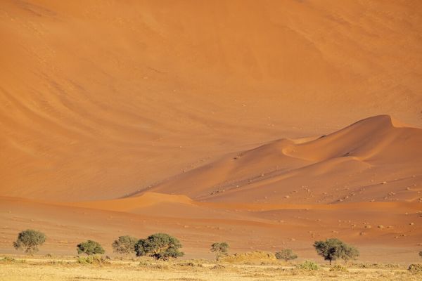 楽天市場 砂漠 砂丘 オレンジ 風景の壁紙 輸入 カスタム壁紙 Photowall Erg Desert Ii 貼ってはがせるフリース壁紙 不織布 海外取寄せ商品 代引き 後払い不可 壁紙屋本舗 カベガミヤホンポ