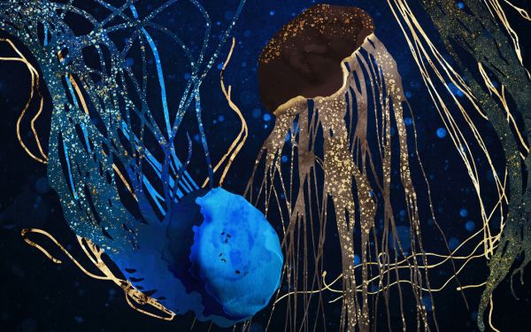 楽天市場 クラゲ イラスト デザイン 青 ブルーの壁紙 輸入 カスタム壁紙 Photowall Metallic Jellyfish 貼ってはがせるフリース壁紙 不織布 海外取寄せ商品 代引き 後払い不可 壁紙屋本舗 カベガミヤホンポ 楽天市場 クラゲ イラスト デザイン 青 ブルーの壁紙 輸入 カスタム壁紙 Photowall Metallic Jellyfish 貼ってはがせるフリース壁紙 不織布 海外取寄せ商品 代引き 後払い不可 壁紙屋本舗 カベガミヤホンポ