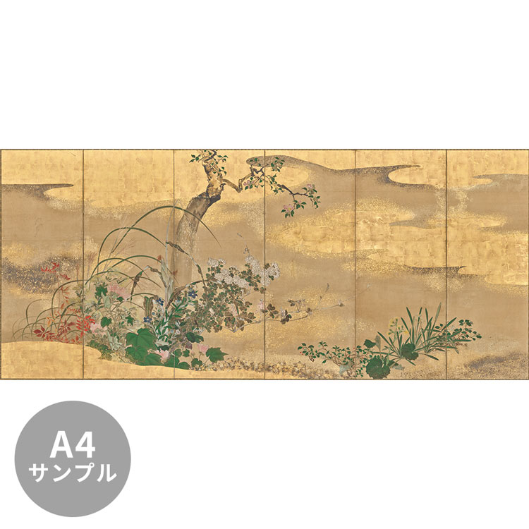 楽天市場】【全品対象クーポン配布中】 桜 屏風の壁紙 サイズ