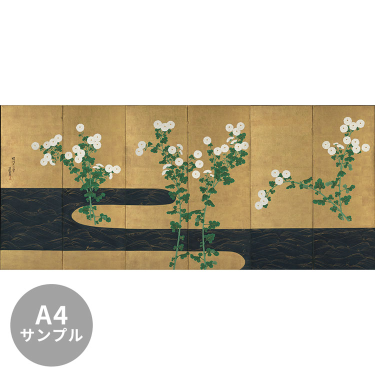 楽天市場】【全品対象クーポン配布中】 【サンプル専用】サイズ