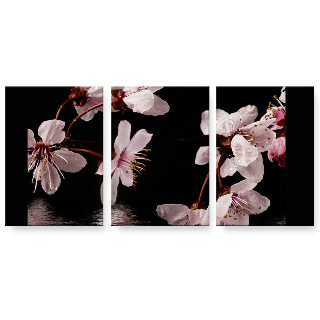 アートパネル 3連 3枚セット 絵 絵画 飾り igsticker 594mmx420mm A2 フォト 壁掛け 木枠 インテリア おしゃれ 000009 桜　水面　黒