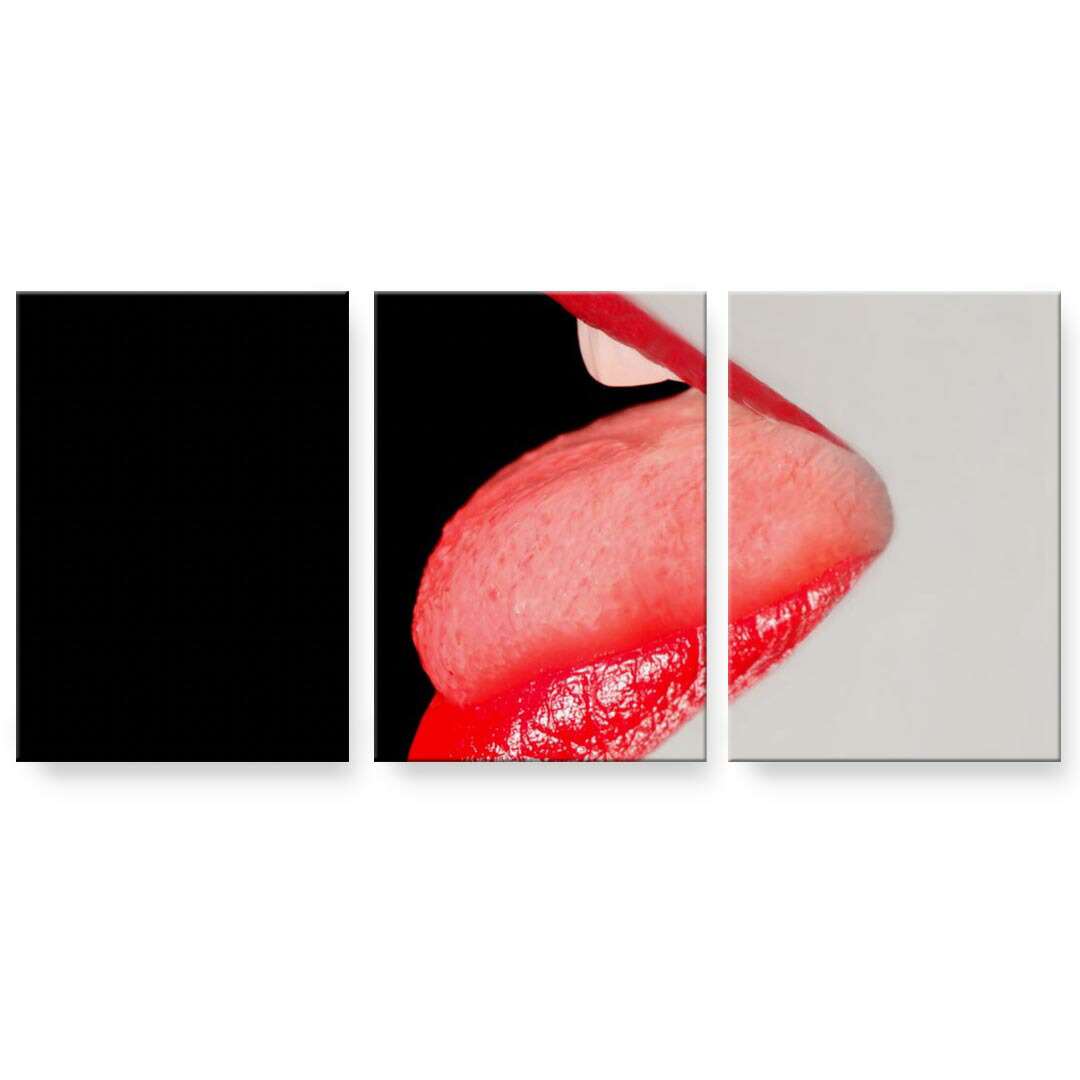 アートパネル 3連 3枚セット 絵 絵画 飾り igsticker 594mmx420mm A2 フォト 壁掛け 木枠 インテリア おしゃれ 000434 リップ　女の人