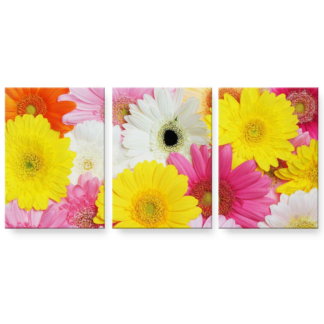 アートパネル 3連 3枚セット 絵 絵画 飾り igsticker 594mmx420mm A2 フォト 壁掛け 木枠 インテリア おしゃれ 000958 花　カラフル