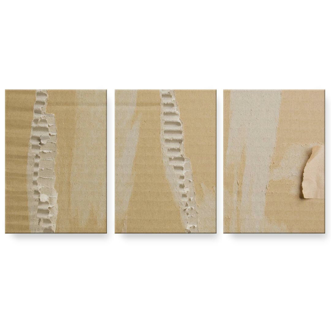 アートパネル 3連 3枚セット 絵 絵画 飾り igsticker 594mmx420mm A2 フォト 壁掛け 木枠 インテリア おしゃれ 001557 段ボール