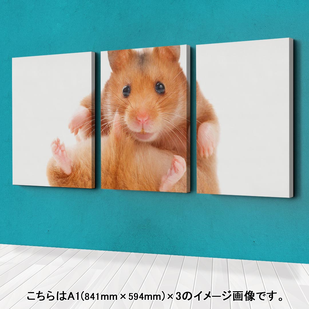 アートパネル 3連 3枚セット 絵 絵画 飾り igsticker 594mmx420mm A2