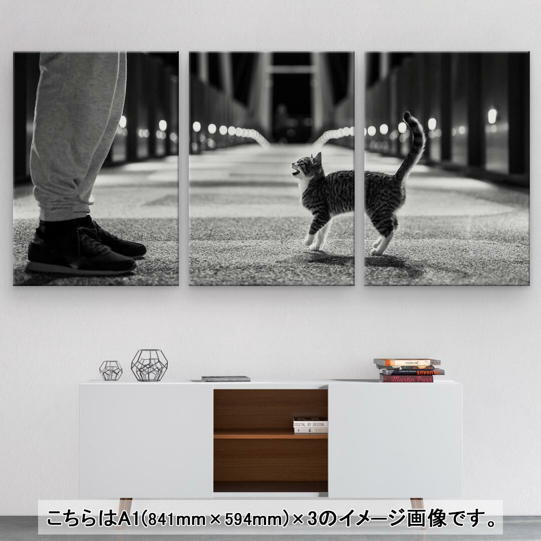 アートパネル 絵 絵画 飾り 選べるサイズ 594 841mm A1 3枚セット セット物 モダン 玄関 写真 フォト インテリア おしゃれ 猫 ねこ モノクロ 最大75 Offクーポン