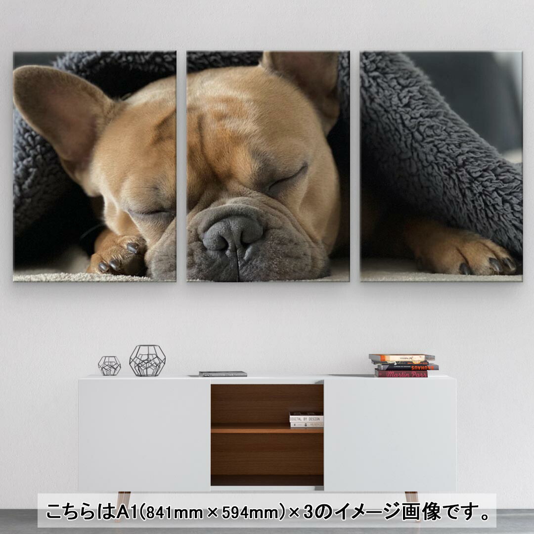 美品 インテリア 選べるサイズ アートパネル 犬 おしゃれ 写真 フォト 絵画 フレンチブルドッグ 玄関 絵 動物 セット物 飾り 594 841mm モダン A1 3枚セット 壁紙 装飾フィルム