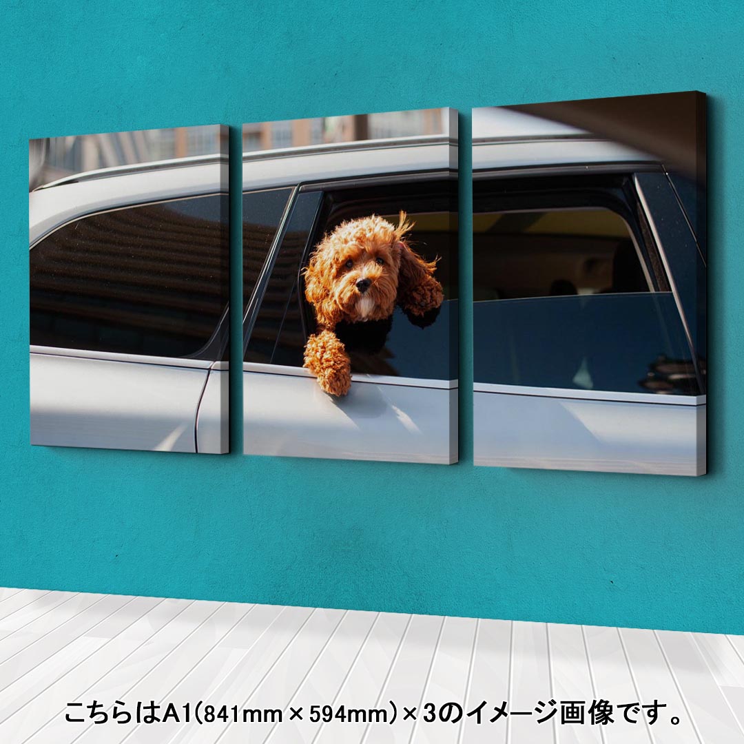 メーカー公式ショップ 木枠 飾り アートパネル モノクロ 3枚セット インテリア フォト 3