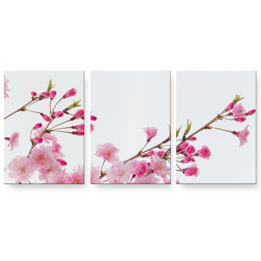 アートパネル 3連 3枚セット 絵 絵画 飾り igsticker 594mmx420mm A2 フォト 壁掛け 木枠 インテリア おしゃれ 002620 花　写真　ピンク｜kabeコレ