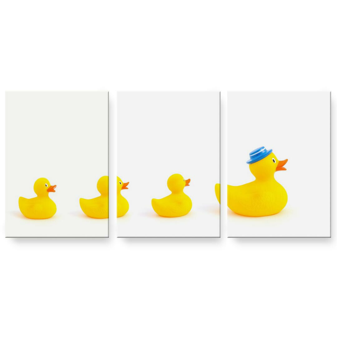 アートパネル 3連 3枚セット 絵 絵画 飾り igsticker 594mmx420mm A2 フォト 壁掛け 木枠 インテリア おしゃれ 002751 鳥　アヒル　動物