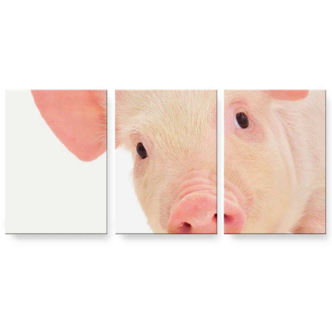 アートパネル 3連 3枚セット 絵 絵画 飾り igsticker 594mmx420mm A2 フォト 壁掛け 木枠 インテリア おしゃれ 002775 ぶた　動物　写真 9,984円