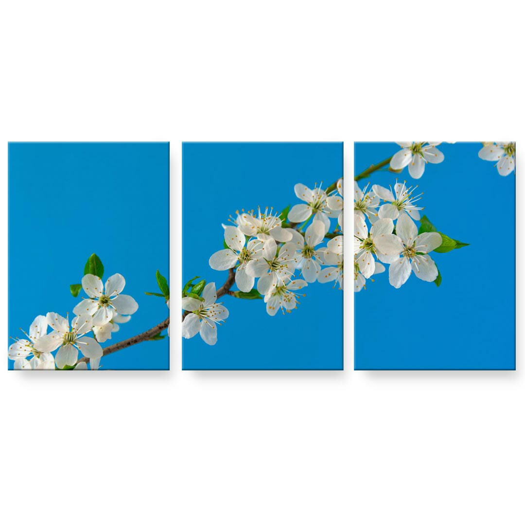 アートパネル 3連 3枚セット 絵 絵画 飾り igsticker 594mmx420mm A2 フォト 壁掛け 木枠 インテリア おしゃれ 023105 花　写真