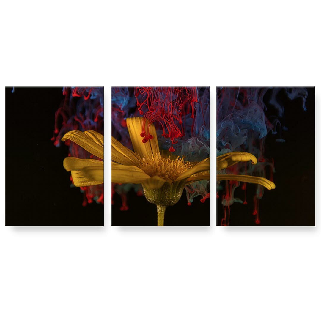 アートパネル 3連 3枚セット 絵 絵画 飾り igsticker 594mmx420mm A2 フォト 壁掛け 木枠 インテリア おしゃれ 023319 花 フラワー ペイント