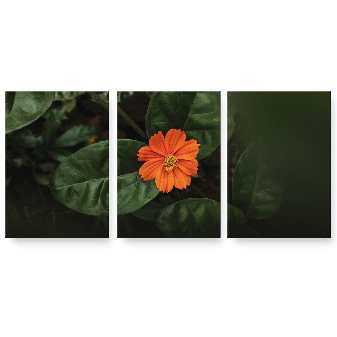 アートパネル 3連 3枚セット 絵 絵画 飾り igsticker 594mmx420mm A2 フォト 壁掛け 木枠 インテリア おしゃれ 023326 花　フラワー　葉っぱ