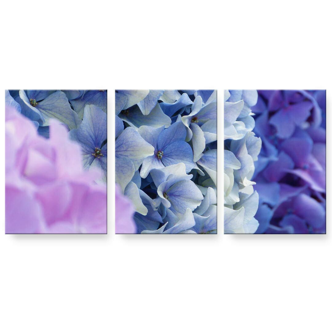 アートパネル 3連 3枚セット 絵 絵画 飾り igsticker 594mmx420mm A2 フォト 壁掛け 木枠 インテリア おしゃれ 023452 花　フラワー　紫陽花　あじさい　写真