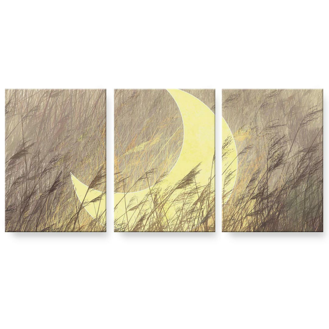 作物ダイアログボックス 3連 3枚仕掛ける 絵  絵図  飾り付け igsticker 594mmx420粍 A2  映し絵 飾り付け 木枠 室内装飾 かっこ良い   023575  三日月 挿し画 壁紙・装飾フィルム-インテリア・寝具・収納