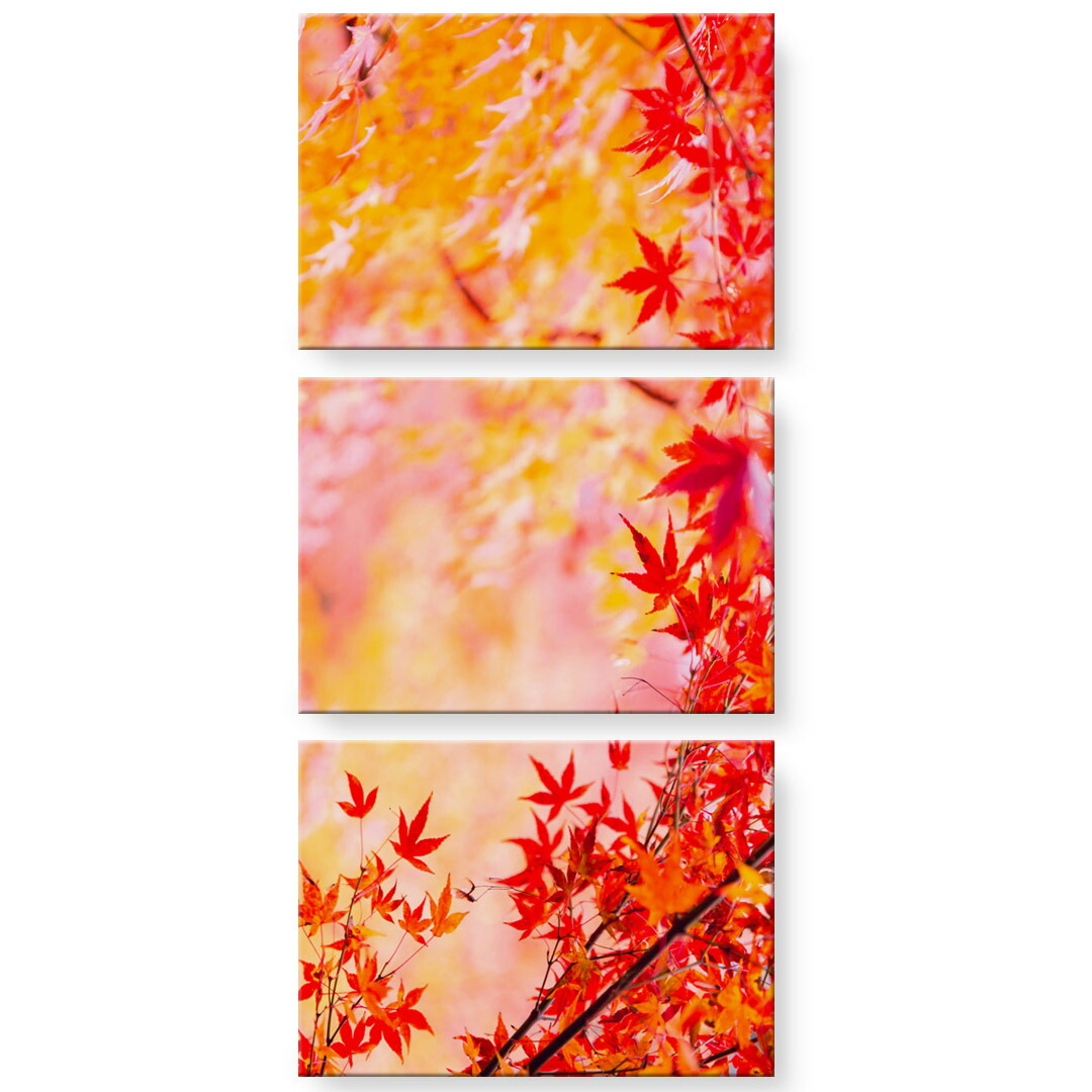 アートパネル 3連 3枚セット 絵 絵画 飾り igsticker 594mmx420mm A2 フォト 壁掛け 木枠 インテリア おしゃれ 紅葉 秋　032841