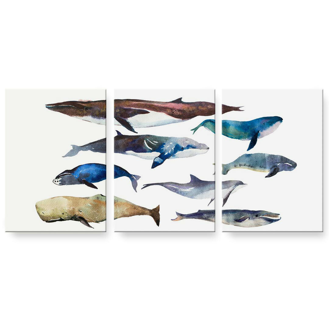 アートパネル 3連 3枚セット 絵 絵画 飾り igsticker 594mmx420mm A2 フォト 壁掛け 木枠 インテリア おしゃれ 015836 魚　海　くじら　シャチ