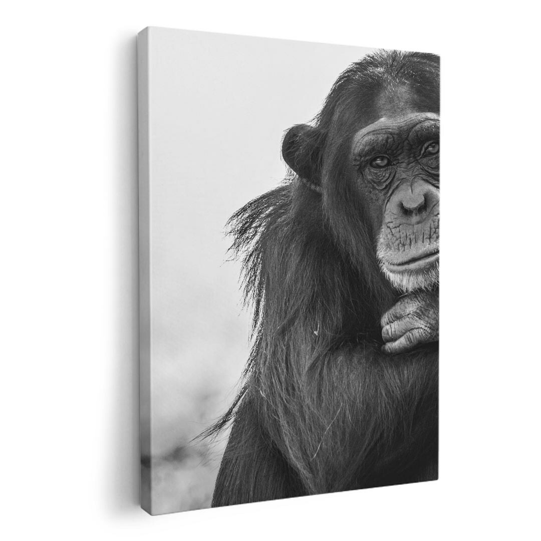 楽天市場】【BLACK FRIDAY限定クーポン】 絵 絵画 サル 猿 80cm