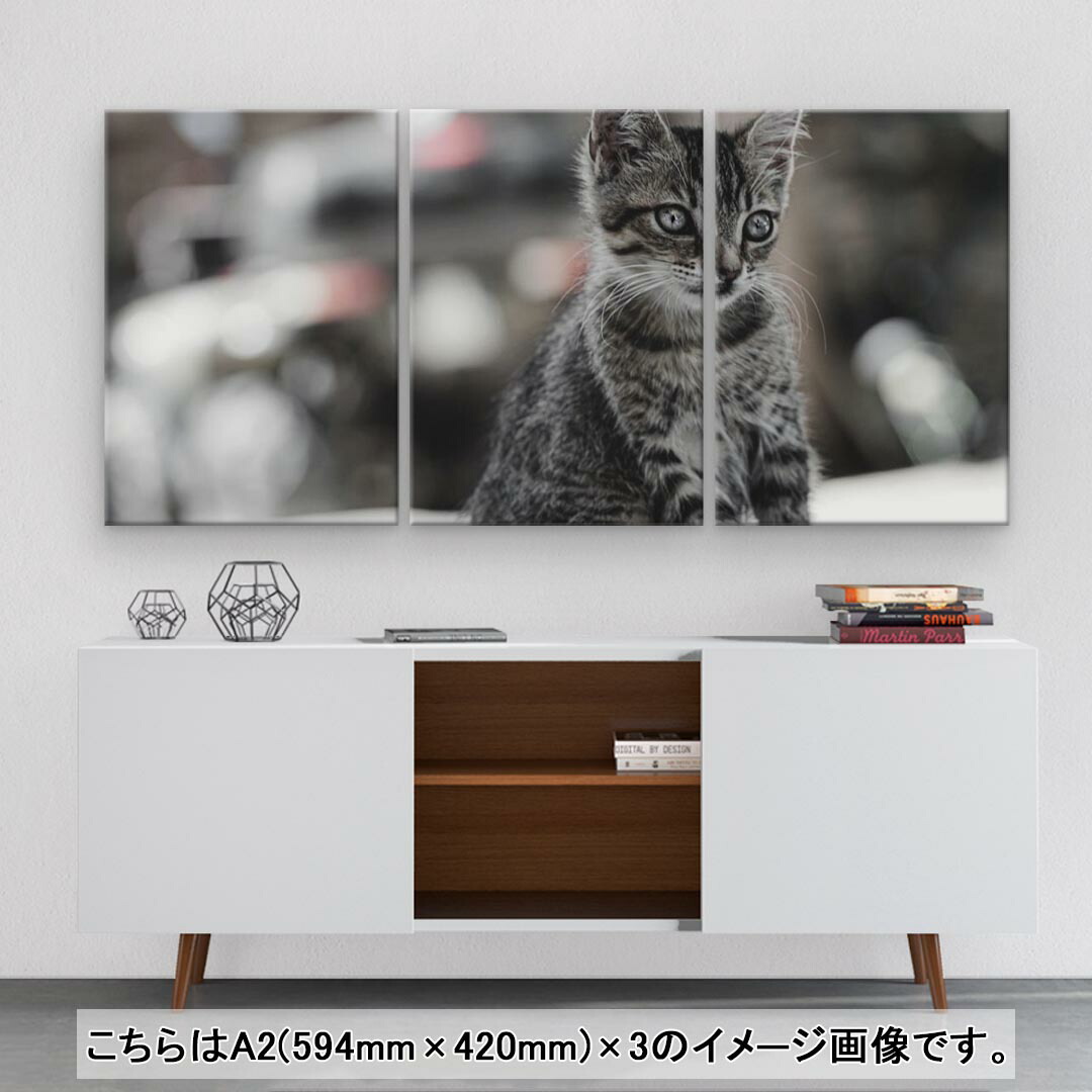 スーパーセール期間限定 Igsticker ねこ 594mmx4mm 動物 アートパネル 壁掛け おしゃれ フォト 絵 写真 絵画 3枚セット インテリア 3連 木枠 猫 飾り 壁紙 装飾フィルム