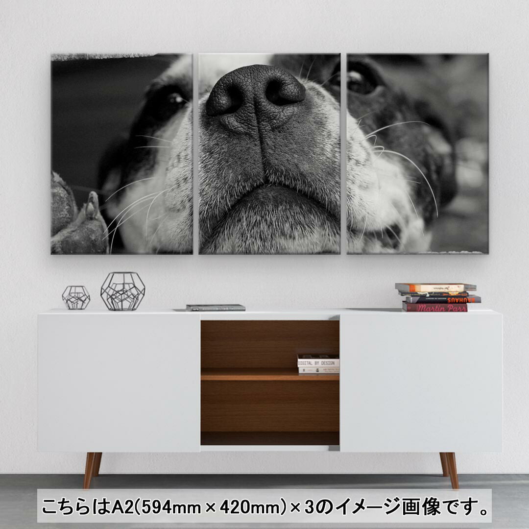メーカー公式ショップ 木枠 飾り アートパネル モノクロ 3枚セット インテリア フォト 3連 おしゃれ 写真 壁掛け Igsticker 絵画 犬 絵 594mmx4mm 壁紙 装飾フィルム
