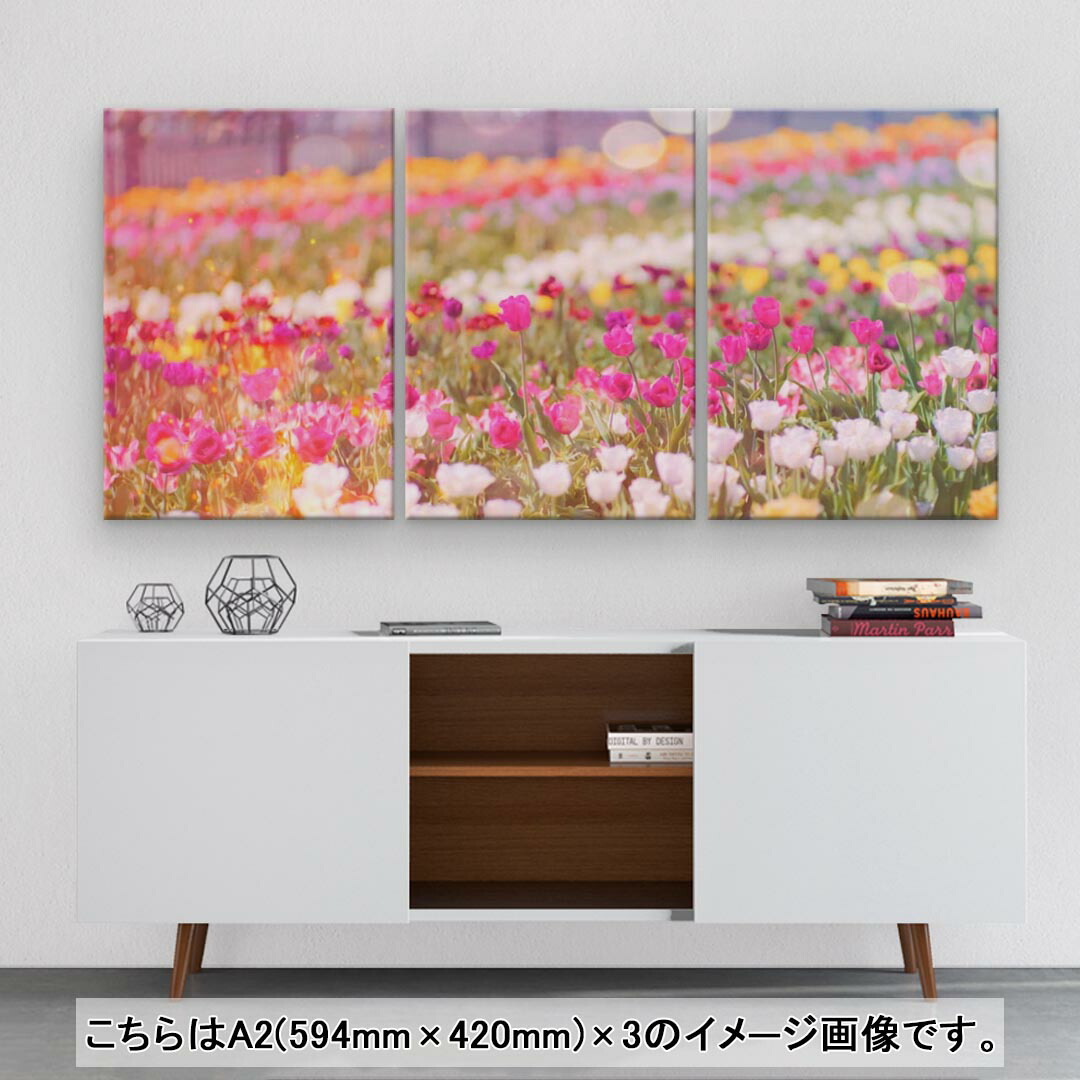 完成品 アートパネル 3連 3枚セット 絵 絵画 飾り Igsticker 594mmx4mm フォト