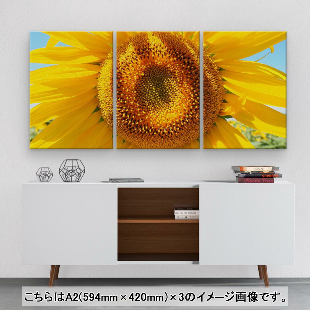 秀逸 アートパネル 3連 3枚セット 絵 絵画 飾り Igsticker 594mmx4mm フォト 壁掛け