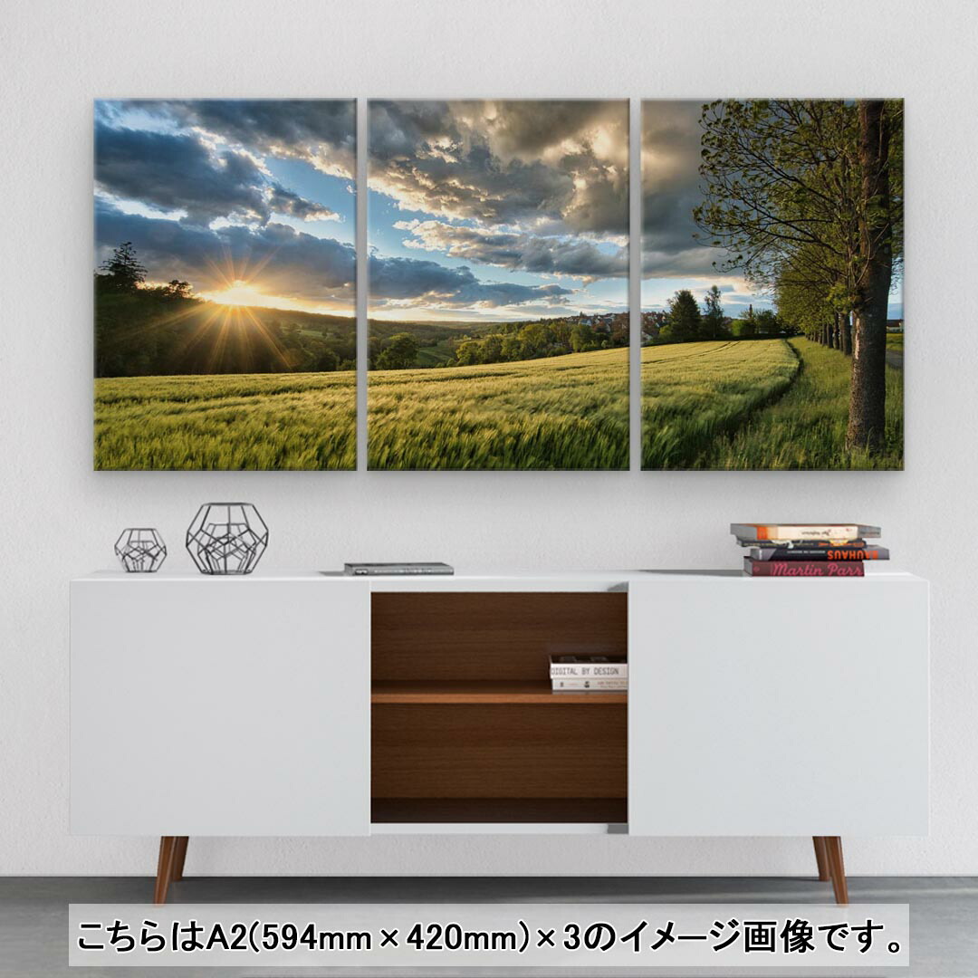 アートパネル 3連 3枚セット 絵 絵画 飾り igsticker 594mmx420mm A2 フォト 壁掛け 木枠 インテリア おしゃれ 023861 景色 自然 写真