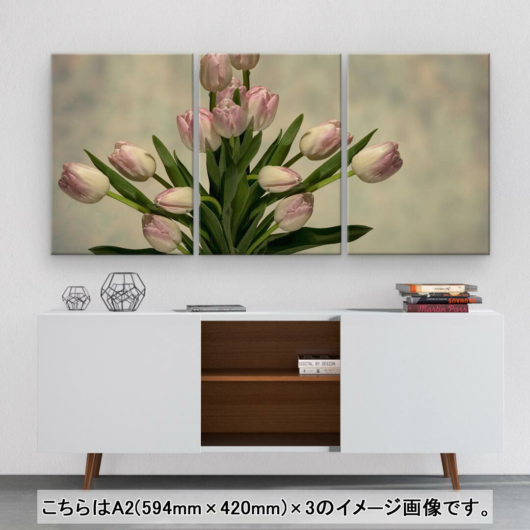 アートパネル 3連 3枚セット 絵 絵画 飾り Igsticker 594mmx4mm フォト 壁掛け 木枠 インテリア おしゃれ 花 フラワー チューリップ 最大72 オフ