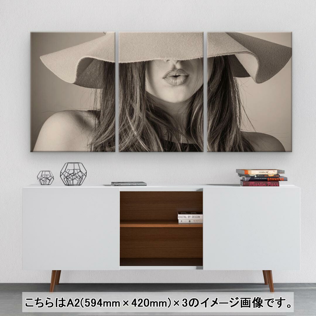 アートパネル 3連 3枚セット 594mmx420mm 025944 A2 igsticker おしゃれ インテリア ファッション フォト 壁掛け  女性 帽子 木枠 絵 絵画 飾り 世界的に有名な 3枚セット