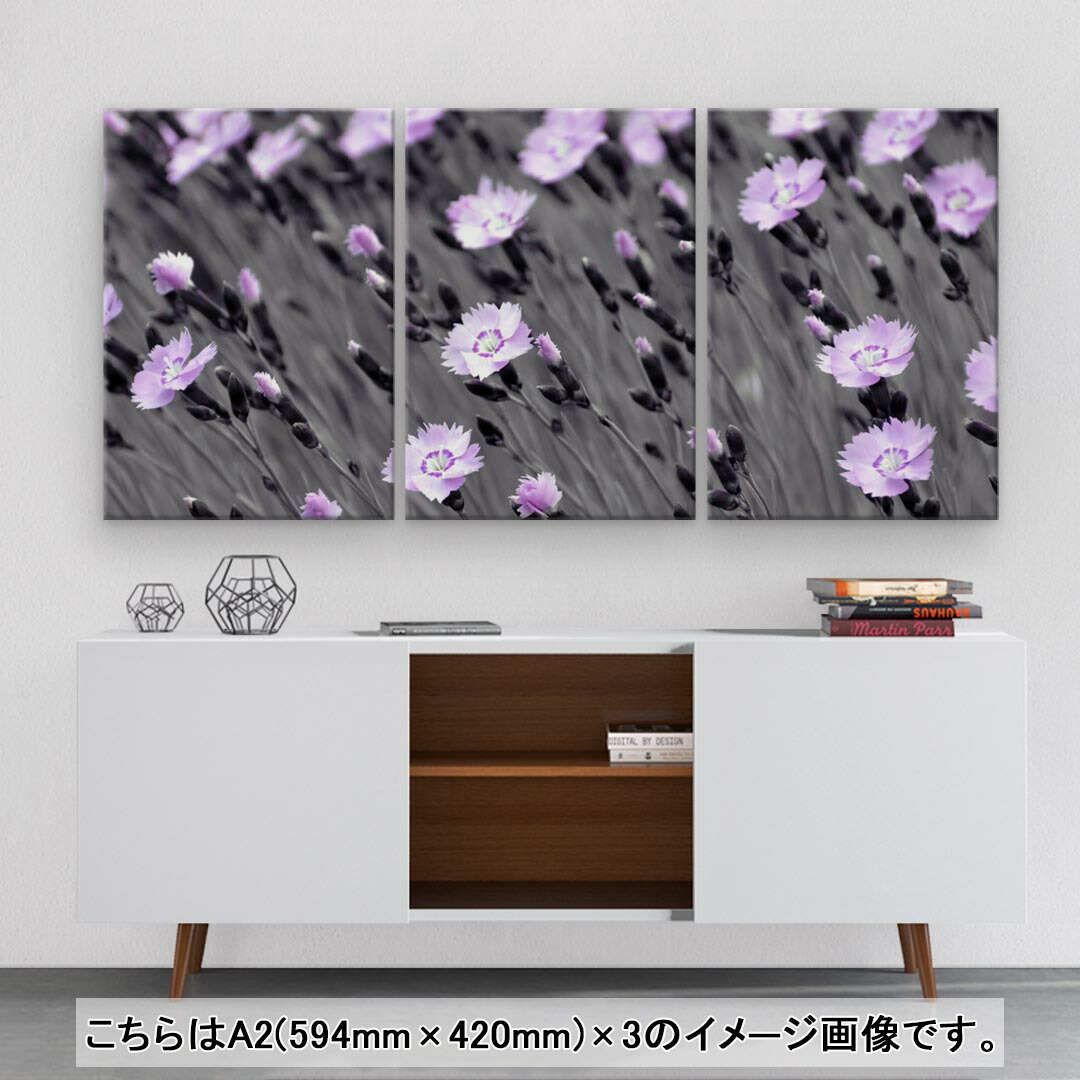 アートパネル 3連 3枚セット 594mmx4mm Igsticker おしゃれ インテリア フォト 壁掛け 木枠 植物 絵 絵画 花 葉 飾り 94 以上節約 3枚セット アートパネル 3連 3枚セット 594mmx4mm Igsticker おしゃれ インテリア フォト 壁掛け 木枠 植物 絵 絵画 花 葉 飾り 94 以上節約 3枚セット