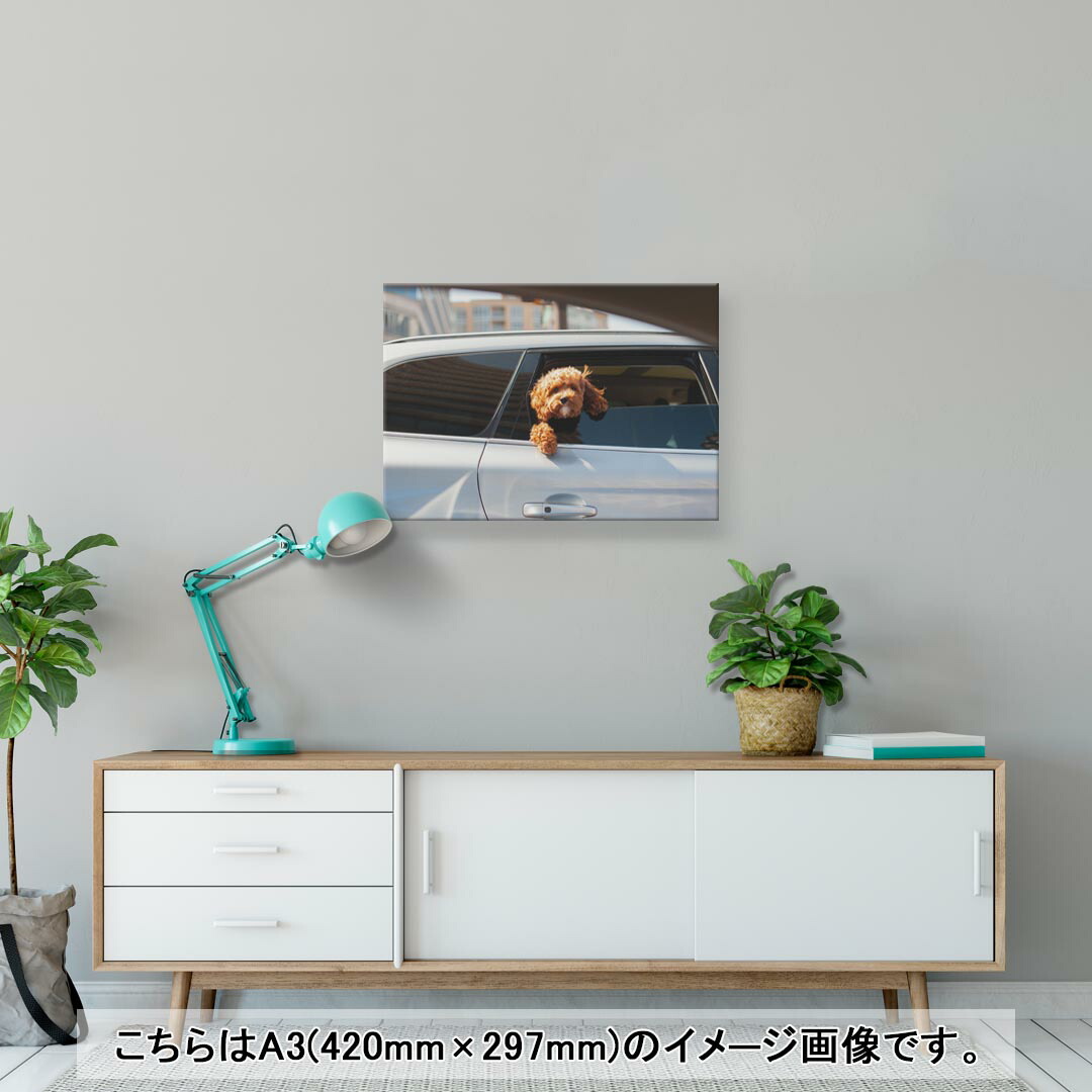 アートパネル 絵 4 297 A3 Mm おしゃれ インテリア フォト モダン 写真 犬 玄関 絵画 車 選べるサイズ 飾り 人気ブランドの 絵画