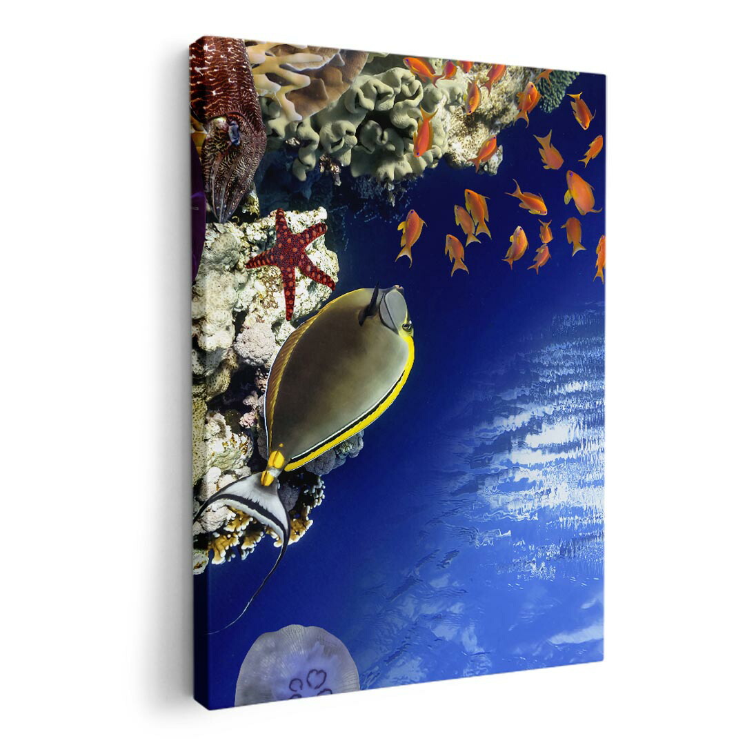 本珊瑚　沖縄　首里城　珊瑚画　珊瑚アート　額入り 2026年最新】本珊瑚 お土産の人気アイテム - メルカリ