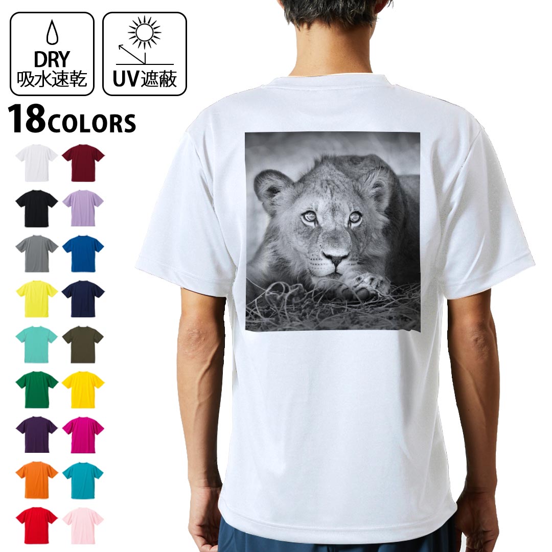 楽天市場】Tシャツ メンズ レディース ライオン エンブレム グレー