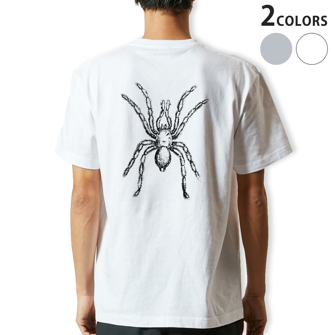 楽天市場】SPIDERWEB POCKET T-shirt BACK PRINT（スパイダー