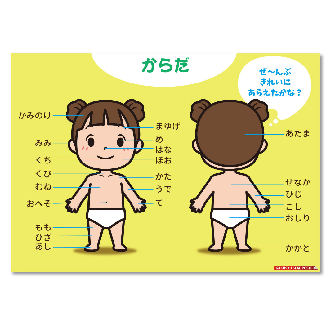 【楽天市場】学習ポスター からだのなまえ 知育 ジュニア 幼児 シールポスター 364×515mm B3サイズ お勉強 自然に学べる 身につく ...