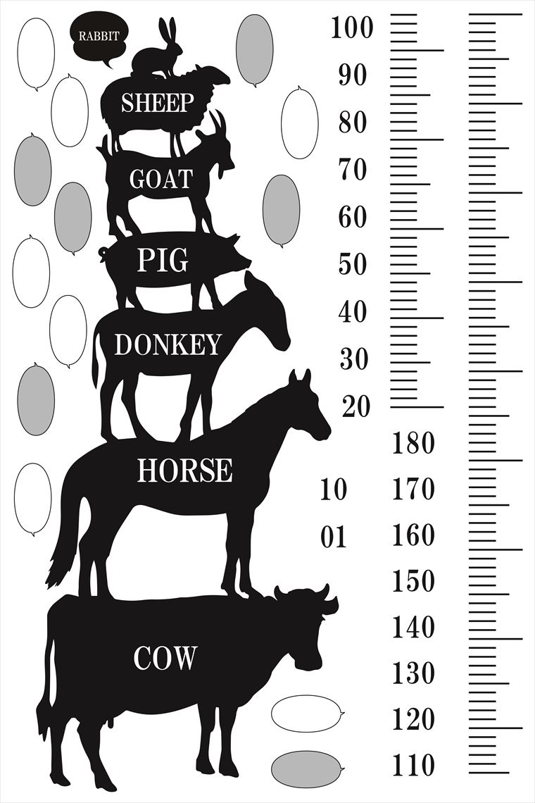 楽天市場 ウォールステッカー 身長計 メモ付き 記念 目盛り 子供部屋 動物 モノトーン 北欧 90 60cm シール式 装飾 おしゃれ 壁紙 はがせる 剥がせる カッティングシート Wall Sticker 雑貨 Diy プチリフォーム Kabeコレ