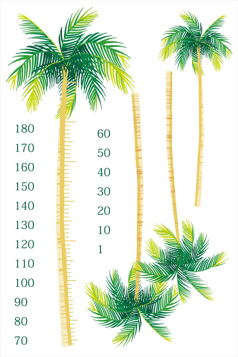 楽天市場 ウォールステッカー 身長計 記念 目盛り 子供部屋 ヤシの木