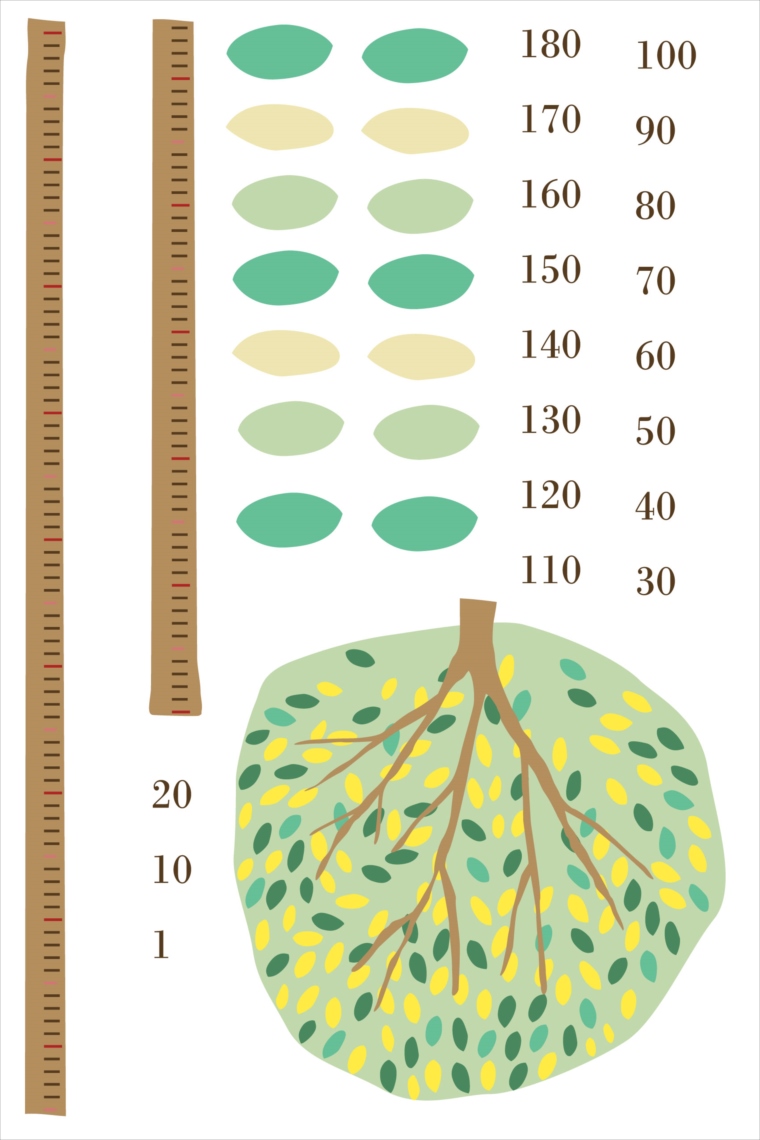 楽天市場 ウォールステッカー 身長計 メモ付き 記念 目盛り 木 葉っぱ 北欧 90 60cm シール式 装飾 おしゃれ 壁紙 はがせる 剥がせる カッティングシート Wall Sticker 雑貨 Diy プチリフォーム Kabeコレ