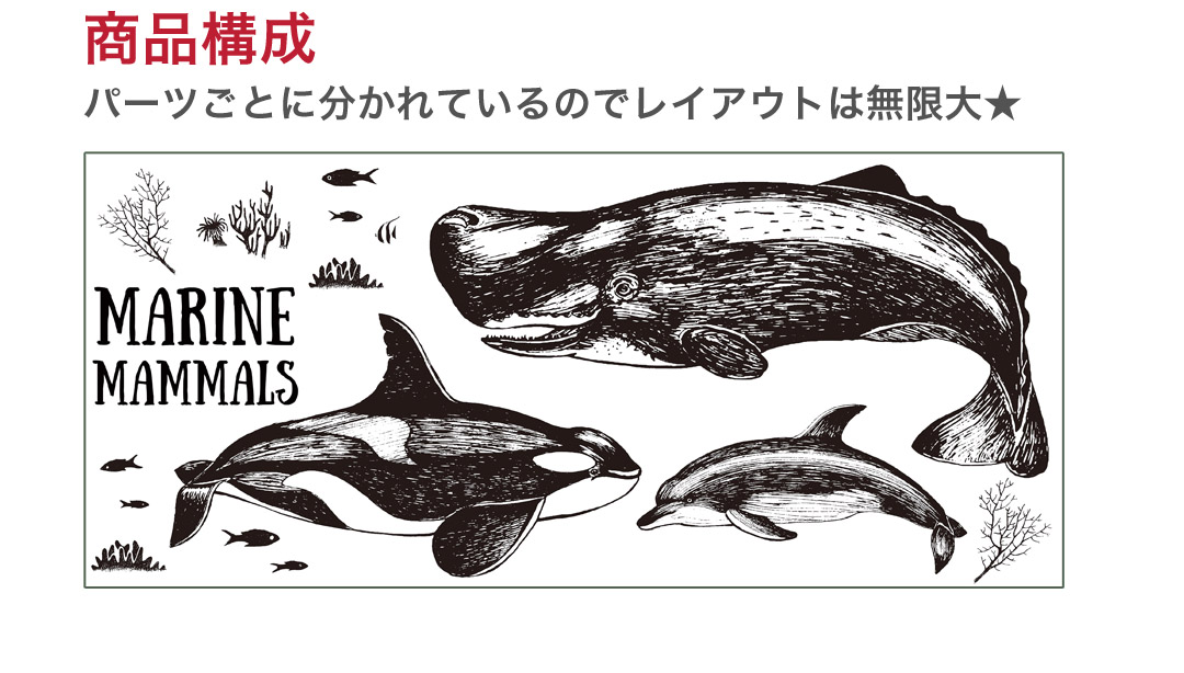 楽天市場 海の生物 シール式ウォールステッカー 魚 Fish Sea クジラ くじら イルカ いるか アクアリウム シャチ 飾り 60 60cm 剥がせる カッティングシート Wall Sticker 雑貨 Kabeコレ