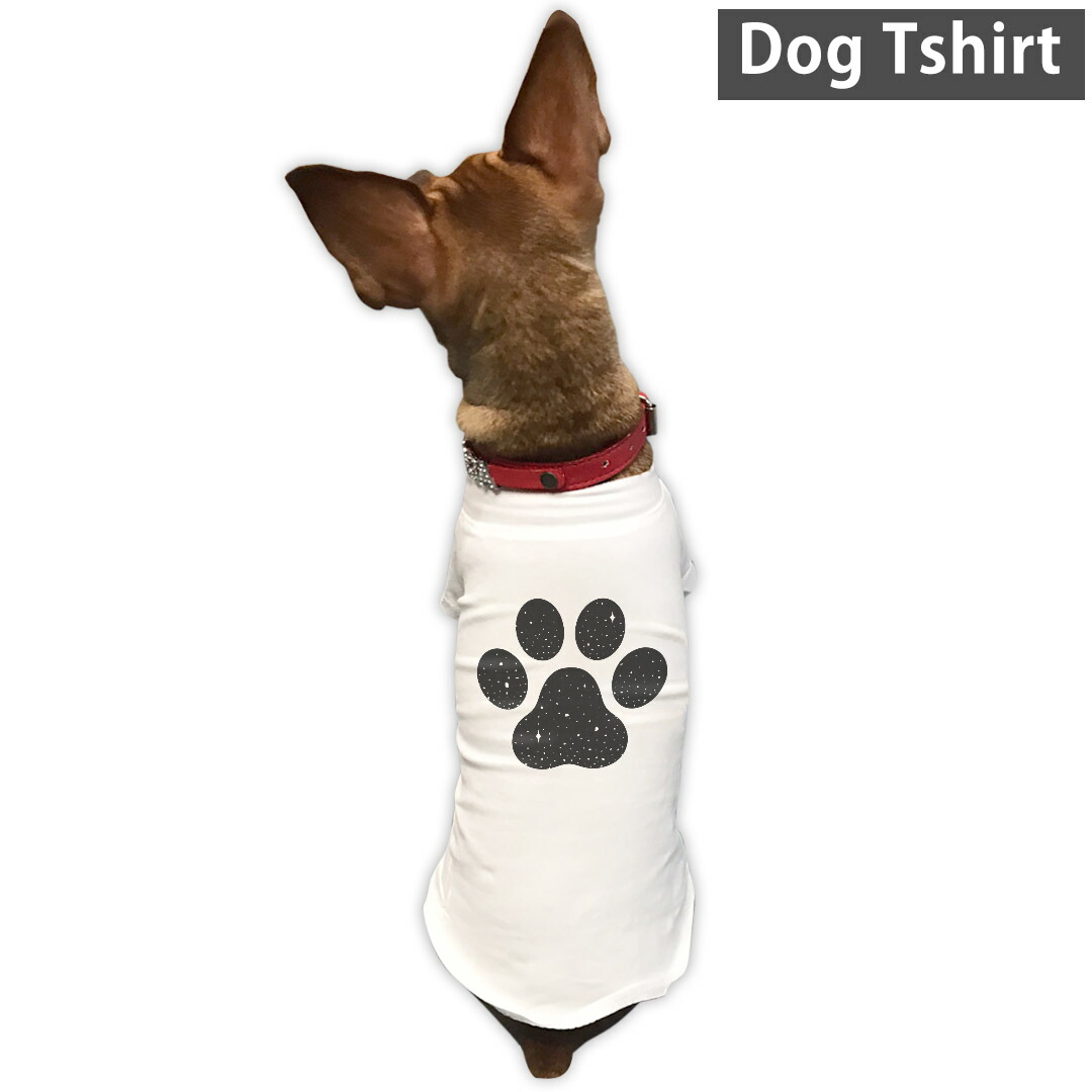 楽天市場 犬専用tシャツ 選べる5size 小型犬 袖あり 半袖 ホワイト デザイン T Shirt Xs S M L Xl ペットウェア ペット服 カジュアル おしゃれ コットン 綿 音楽 ジャズ 楽器 Kabeコレ