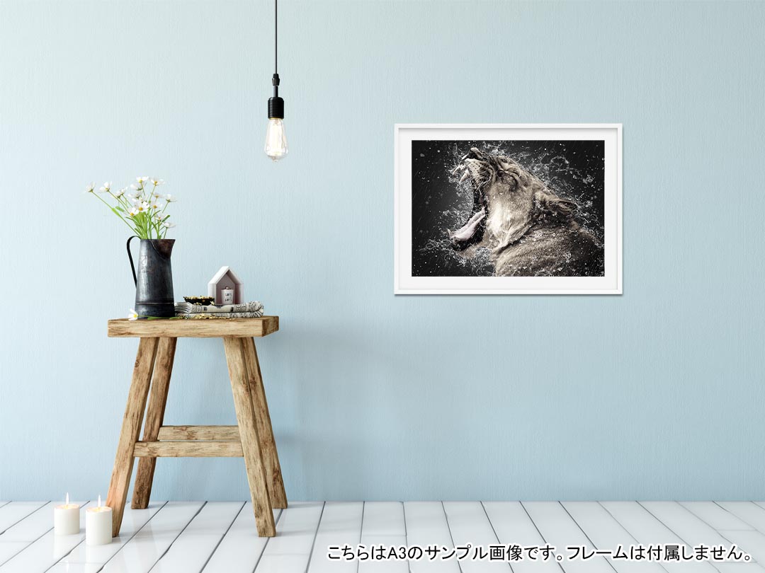 ポステッカー ポスター ウォールステッカー シール式ステッカー 飾り 1030mm×1456mm B0 写真 フォト 壁 インテリア おしゃれ 剥がせる wall sticker poster 025693 動物 ライオン 水